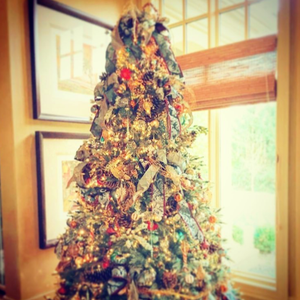 Christmas Tree Decorating 101